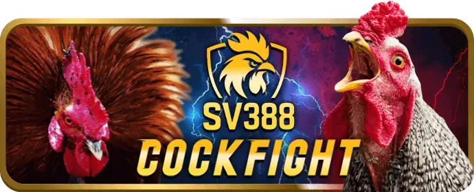 Quản lý thông tin tài khoản 33win99 nhà cái